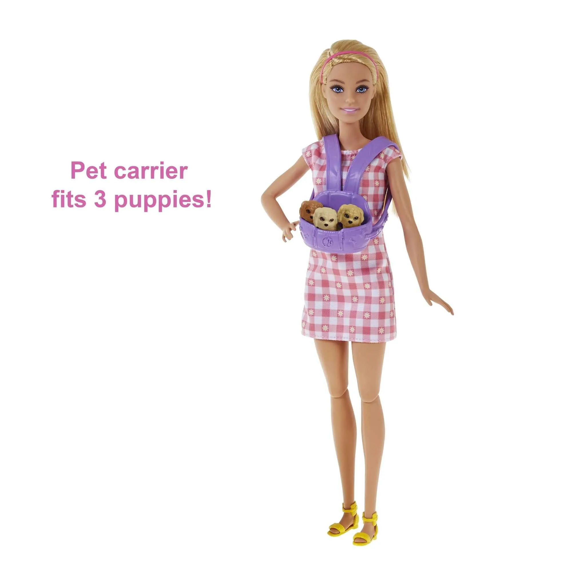 Barbie Doll and Newborn Pups Playset with Dog