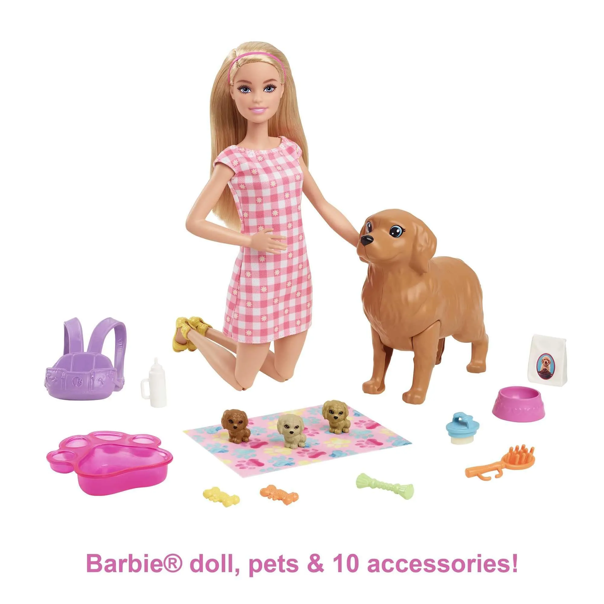 Barbie Doll and Newborn Pups Playset with Dog