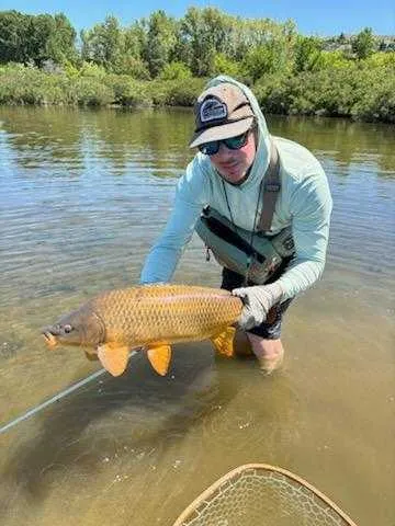 Columbia River Carp Fishing