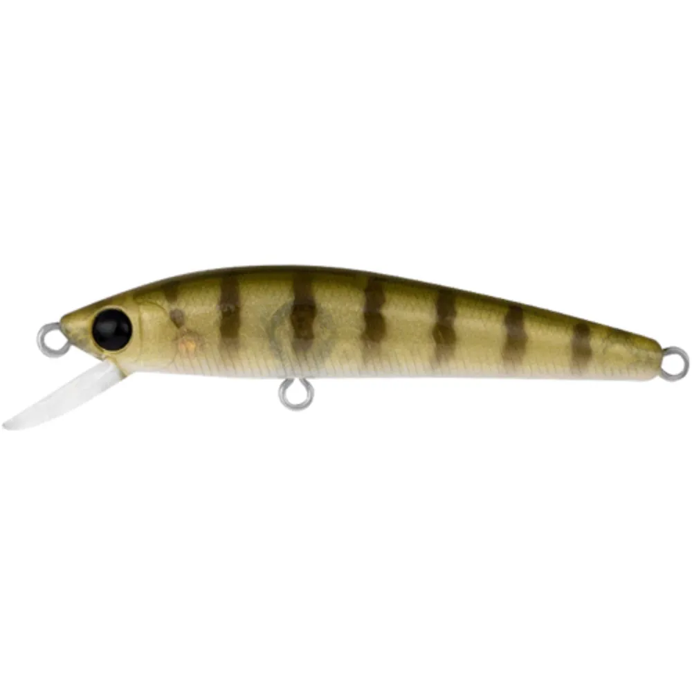 Daiwa Presso Minnow 60F Hard Body Lure