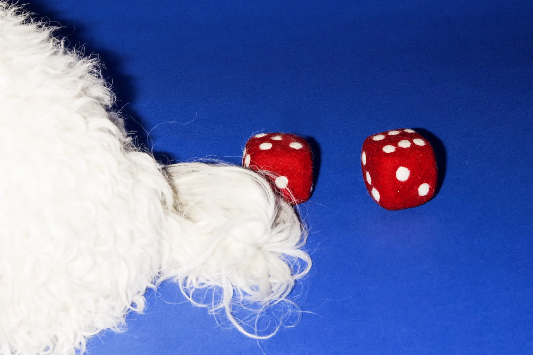 Dog Toy: Boiled Wool Pair of Dice