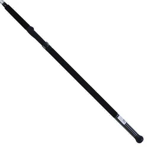 Emcast Surf Spinning Rod - 11' Length, 2 Piece Rod, 20-40 lb Line Rate, 4-7 oz Lure Rate, Heavy Power