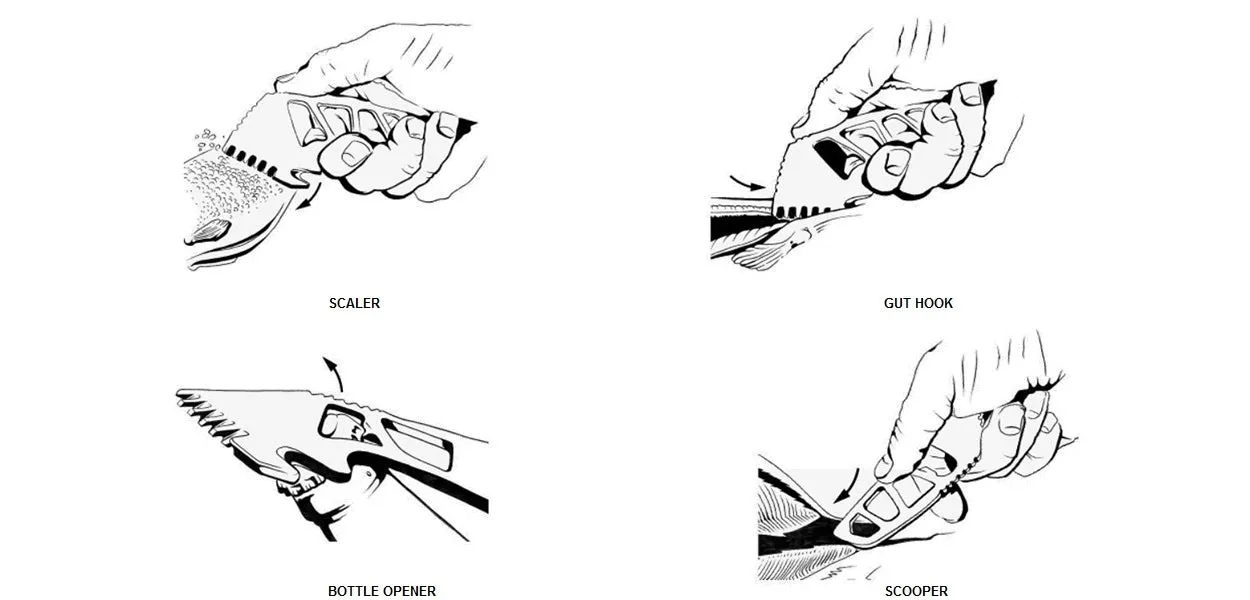 Gerber Fishing Gutsy Scoop and Scaler Tool