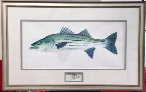 Schoolie Striper & Fly Original Painting